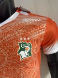 25-26 Cote d'Ivoire Special Edition Player Version Soccer Jersey
