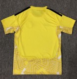 25-26 Scotland Yellow GoalKeeper Fans Soccer Jersey