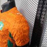 2026 Cote d'Ivoire Home Player Version Soccer Jersey