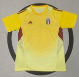25-26 Italy Yellow GoalKeeper Fans Soccer Jersey