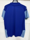 25-26 Cruzeiro Blue Training shirts