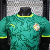 24-25 Senegal Away Player Version Soccer Jersey*两颗星