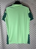 26-27 Mexico Green Special Edition Fans Training shirts