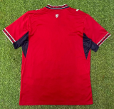 2026 CZECH Home Fans Soccer Jersey
