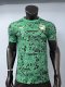 26-27 Cote d'Ivoire Green Special Edition Player Version Soccer Jersey