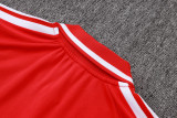 26-27 Brazil High Quality POLO Training Short Suit