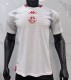 2026 Tunisia Away Leaked Edition Player Version Soccer Jersey
