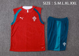 26-27 Portugal High Quality Tank Top And Shorts Suit