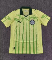 25-26 Palmeiras Special Edition Fans Soccer Jersey