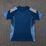 2025 No Label Player Version Training Short Suit —Royal blue 宝蓝色 无标