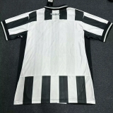 25-26 Botafogo Home Fans Soccer Jersey