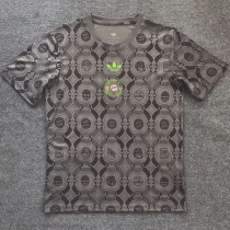 25-26 Bayern Grey Special Edition Training shirts 1:1 Thai Quality 25-26 Bayern Grey Special Edition Training shirts 1:1 Thai Quality