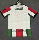 2023 Palestine Fans Version Soccer Jersey