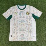 25-26 Senegal Home Fans Soccer Jersey