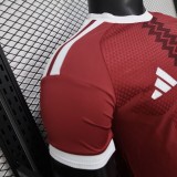 2026 Qatar Home Player Version Soccer Jersey