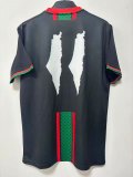 25-26 Palestine Special Edition Fans Soccer Jersey