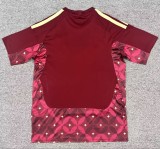 25-26 Italy GoalKeeper Fans Soccer Jersey