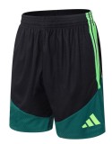 2026 AD Green High Quality Player Version Training Short Suit (球员套装)