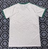 26-27 AD Green Casual Edition Training shirts