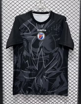 26-27 Haiti Black Special Edition Fans Soccer Jersey 26-27 Haiti Black Special Edition Fans Soccer Jersey
