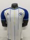 2026 World Cup Bosnia And Herzegovina Away Player Version Soccer Jersey
