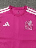 25-26 Mexico Goalkeeper Long Sleeve Fans Soccer Jersey (长袖)