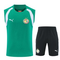26-27 Senegal High Quality Tank Top And Shorts Suit 26-27 Senegal High Quality Tank Top And Shorts Suit