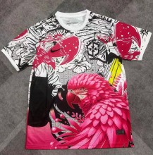 25-26 Brazil Pink Special Edition Training shirts