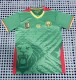 25-26 Cameroon Home Fans Soccer Jersey