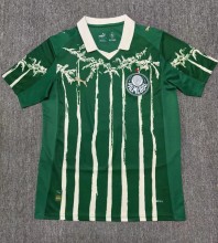 25-26 Palmeiras Special Edition Fans Soccer Jersey