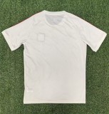 25-26 Lyon White Fans Training shirts
