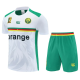 25-26 Cameroon High Quality Training Short Suit