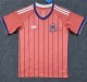25-26 Scotland Special Edition Fans Soccer Jersey
