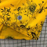 25-26 Dynamo Dresden Special Edition Fans Soccer Jersey