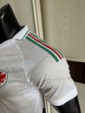 2026 Wales Away Player Version Soccer Jersey