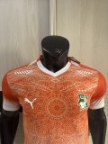 25-26 Cote d'Ivoire Special Edition Player Version Soccer Jersey