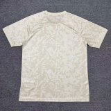 25-26 PSG Special Edition Fans Training shirts