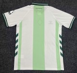 26-27 Werder Bremen Special Edition Fans Soccer Jersey