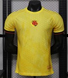 26-27 Colombia Special Edition Player Version Soccer Jersey