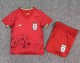2026 Iran Away Kids Soccer Jersey