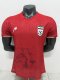 2026 Iran Away Player Version Soccer Jersey