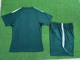 2026 NK Green High Quality Player Version Training Short Suit (球员套装)