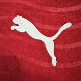 2026 Portugal Home Long Sleeve Player Version Soccer Jersey (长袖球员)