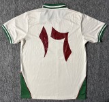 25-26 Palestine Special Edition Fans Soccer Jersey