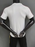 26-27 LIV Grey Player Version Training Shirts
