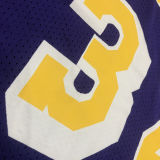 JOHNSON # 32 Lakers Purple Mitchell Ness Retro Jerseys