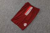 2024/25 Internacional Red Vest Training Jersey(A Set)