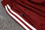 2024/25 Internacional Red Vest Training Jersey(A Set)