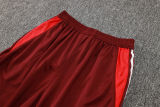 2024/25 Internacional Red Vest Training Jersey(A Set)