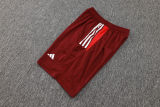 2024/25 Internacional Red Vest Training Jersey(A Set)